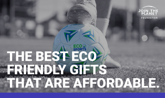 7 Top Eco Friendly Gifts that Are Affordable